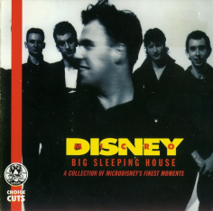 Big Sleeping House (A Collection Of Microdisney's Finest Moments)